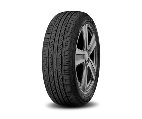 NEXEN 205/55R16 91H 581