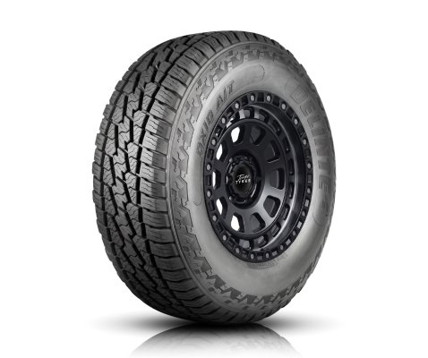 DELINTE 275/55R20 117T DX-10
